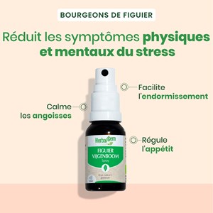 Herbalgem - bourgeon de figuier - spray - bio