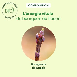 Herbalgem - bourgeon de cassis - format spray - bio