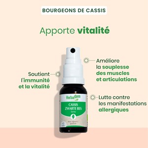 Herbalgem - bourgeon de cassis - format spray - bio