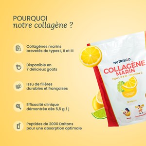 Collagène marin types 1, 2 & 3 - poudre goût citron vert - 1 mois