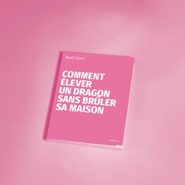 Carnet - dragon