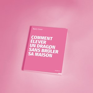 Carnet - dragon
