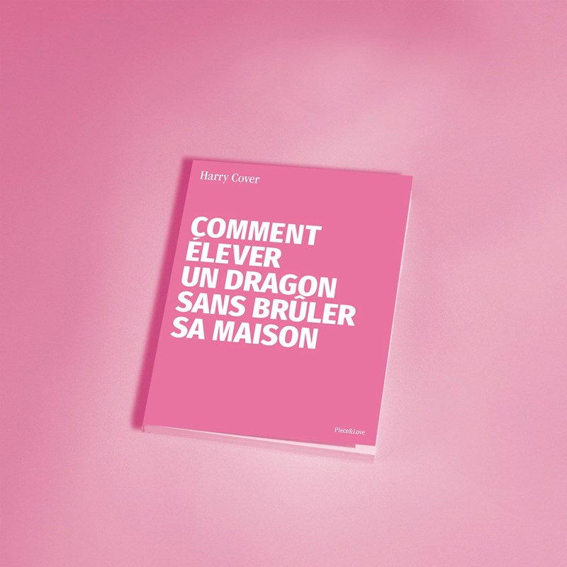 Carnet - dragon