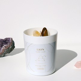 Lion : œil de tigre & citrine