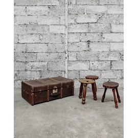 Lucienne, la malle marron n°98