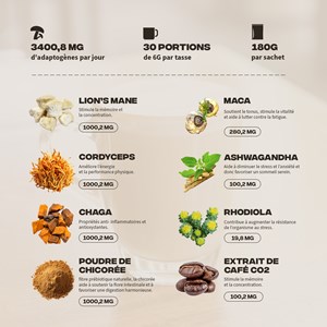 Café adaptogènes brainstoorm goût café