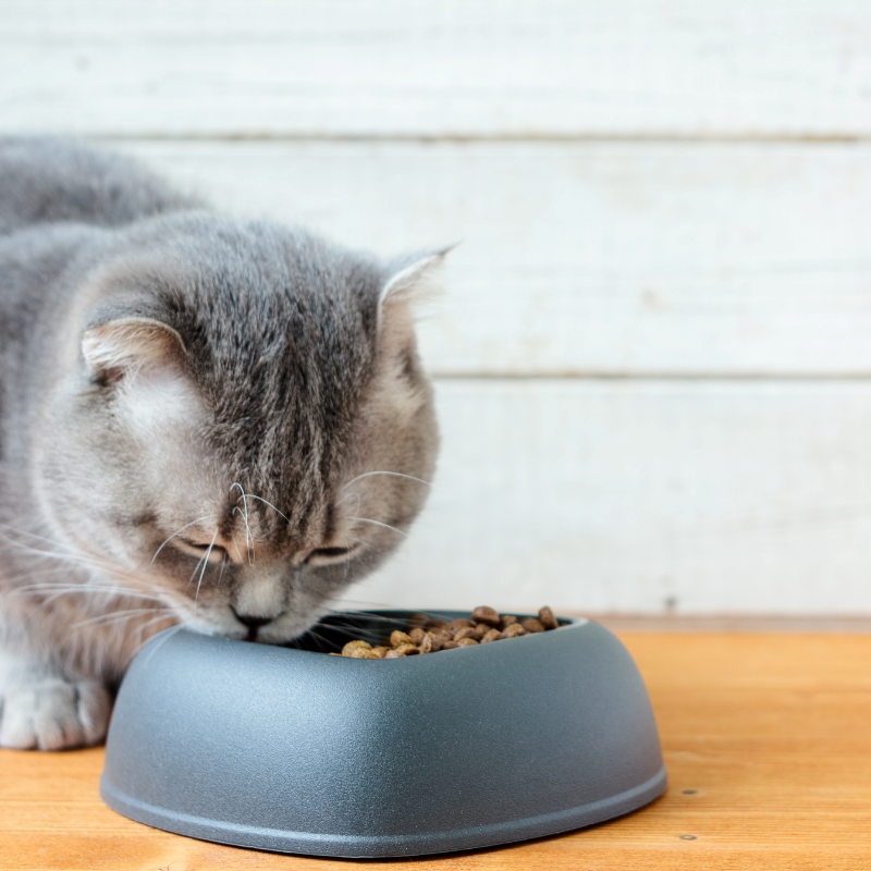 Octave prestige - croquettes au poulet pour chat