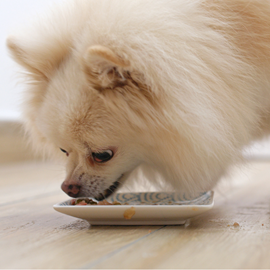 Eukanuba - croquettes sans céréales poisson chien petite et moyenne taille