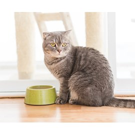 Eukanuba - croquettes au poulet pour chat stérilisé