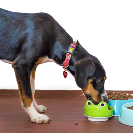 Carnilove - croquettes sans cérales true fresh au boeuf pour chien