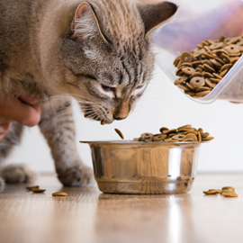 Carnilove  - croquettes sans céréales carpe & truite pour chat stérilisé
