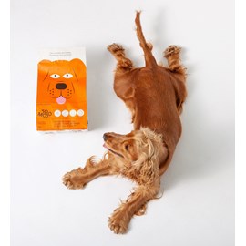 Tomojo - croquettes aux insectes sans céréales pour chien