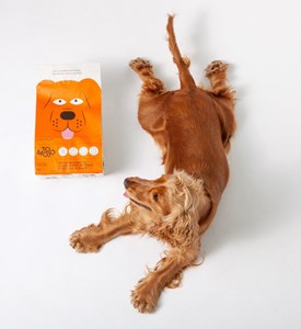 Tomojo - croquettes aux insectes sans céréales pour chien
