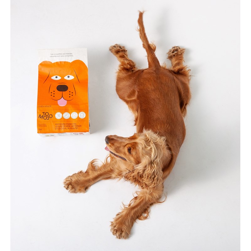 Tomojo - Tomojo chien adulte gf 2kg