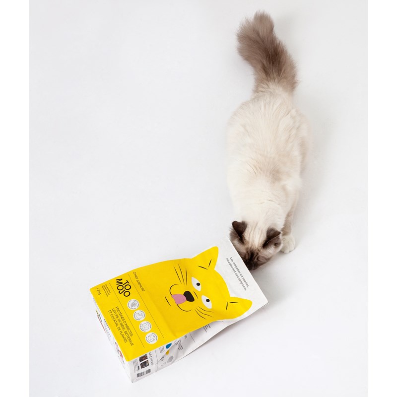Tomojo - Tomojo chat adulte gf 2,5kg