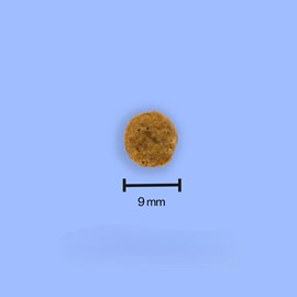 Tomojo - croquettes aux insectes sans céréales pour chat