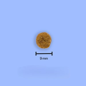 Tomojo - croquettes aux insectes sans céréales pour chat