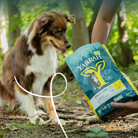 Yarrah - croquettes biologiques poulet & poisson pour chien