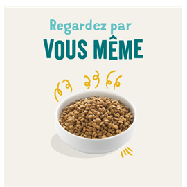 Edgard cooper - croquettes bio dinde & poulet pour chien