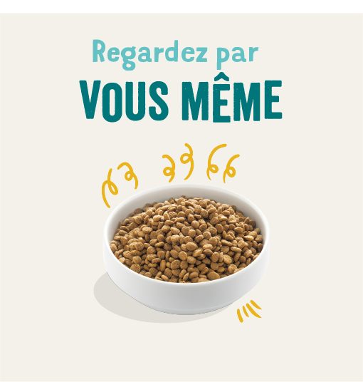 Edgard Cooper - Edgard cooper - croquettes bio dinde & poulet pour chien