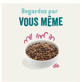 Edgard cooper - croquettes bio boeuf & poulet pour chien