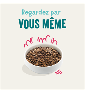 Edgard cooper - croquettes bio boeuf & poulet pour chien