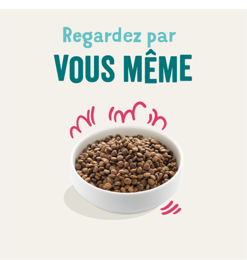 Edgard Cooper - Edgard cooper - croquettes bio boeuf & poulet pour chien