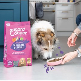 Edgard cooper - croquettes végétariennes betterave & citrouille pour chien
