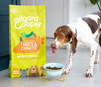 Edgard cooper - croquettes végétariennes carotte & courgette pour chien