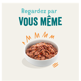 Edgard cooper - pâtée sans céréales poulet & dinde pour chien