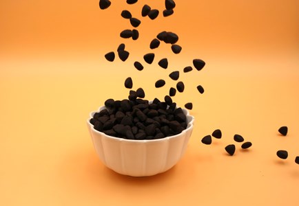 Pongo - croquettes aux insectes sans céréales pour chien