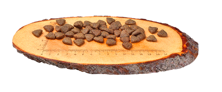 Carnilove - croquettes sans céréales saumon pour chien