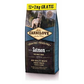 Carnilove - croquettes sans céréales saumon pour chien