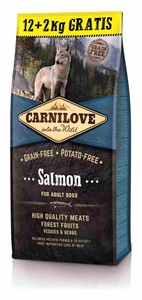 Carnilove - croquettes sans céréales saumon pour chien