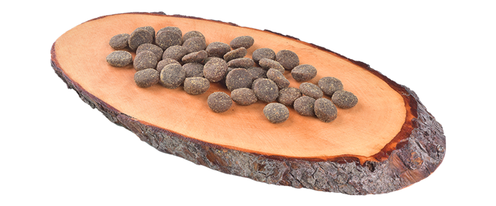 Carnilove - croquettes sans céréales true fresh à la dinde pour chien