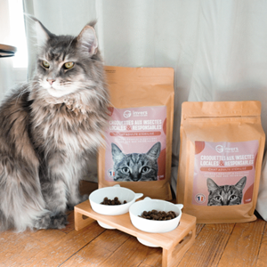 Croquettes chat adulte stérilisé 3kg