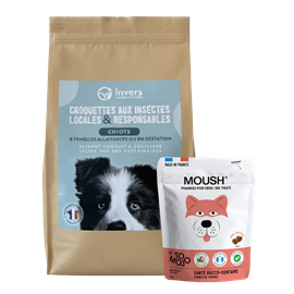 Croquettes chiot 2,5kg