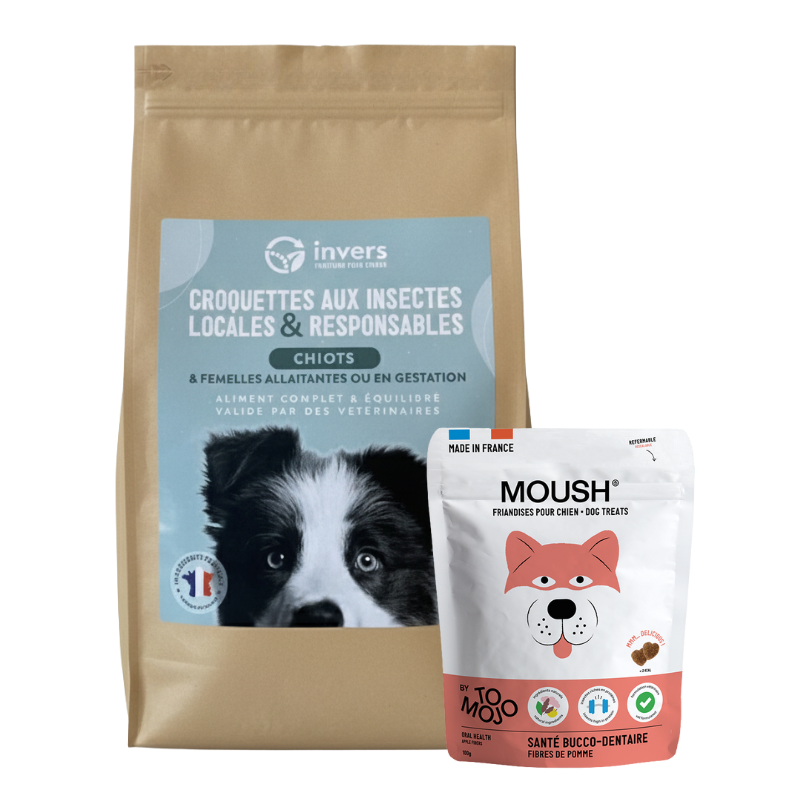 Invers - Croquettes chiot 2,5kg