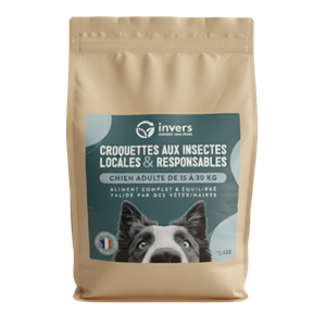Croquettes chien moyen adulte 4kg