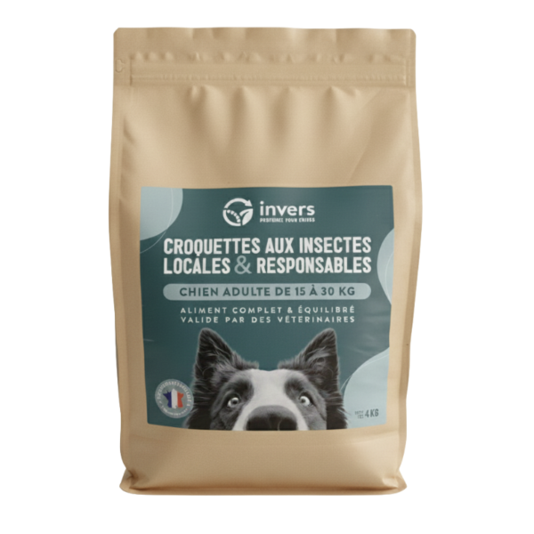 Croquettes chien moyen adulte 4kg