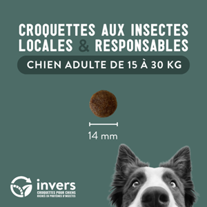 Croquettes chien moyen adulte 4kg