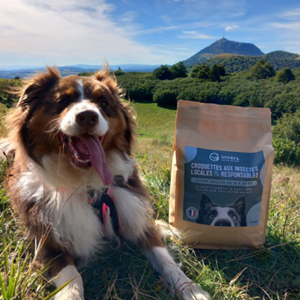 Croquettes chien moyen adulte 4kg