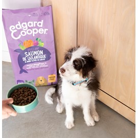 Edgard cooper - croquettes sans céréales saumon & dinde pour chiot