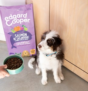 Edgard cooper - croquettes sans céréales saumon & dinde pour chiot