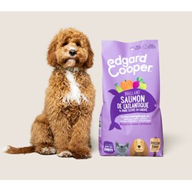 Edgard cooper - croquettes sans céréales saumon & dinde pour chiot