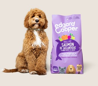 Edgard cooper - croquettes sans céréales saumon & dinde pour chiot