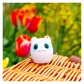 Mini enceinte bluetooth  chat blanc