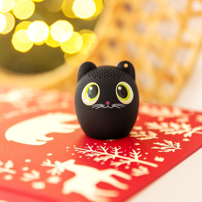 Mini enceinte bluetooth chat noir
