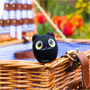 Mini enceinte bluetooth  chat noir
