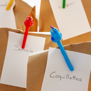 Set de 4 pinces à sachet  multicolore